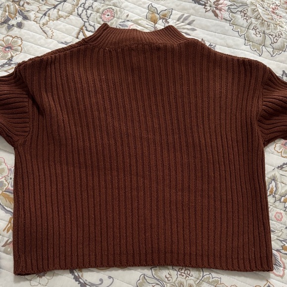 Zara Chestnut Ribbed Knit Crop Top - Picture 6 of 6